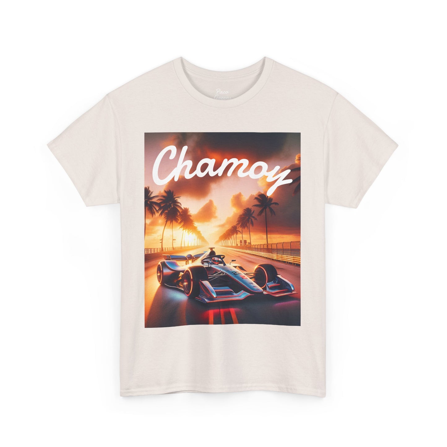 Racing Vibes T-Shirt, Racing Fans Gift, Motorsport Shirt, Race Car Enthusiast Tee, Speed Racing Apparel