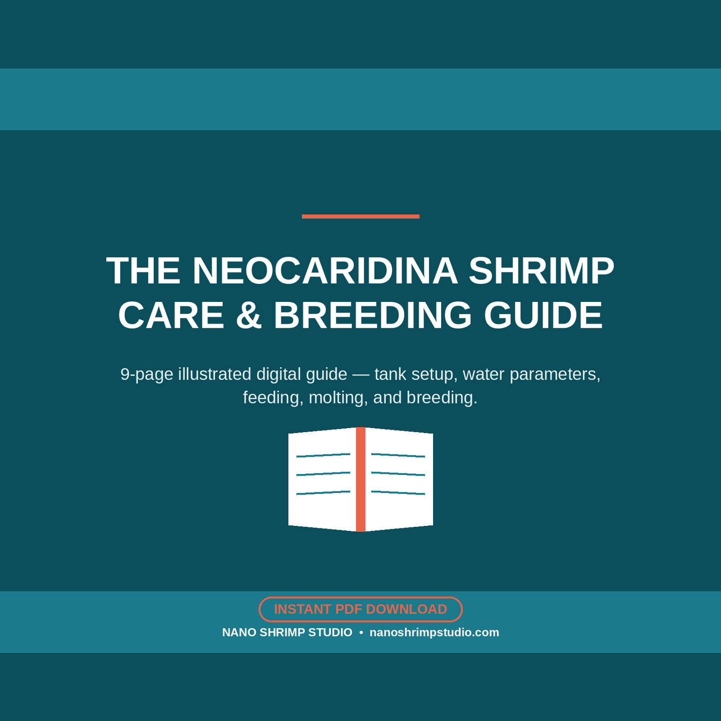 Neocaridina Shrimp Care & Breeding Guide (Digital PDF)