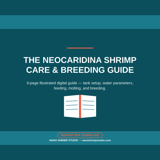 Neocaridina Shrimp Care & Breeding Guide (Digital PDF)